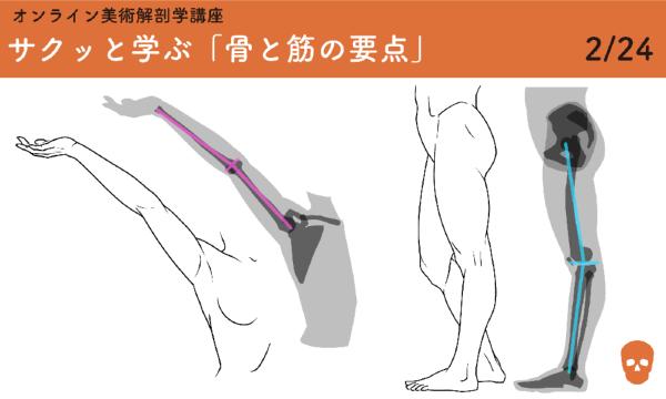 オンライン美術解剖学講座「サクッと学ぶ美術解剖学の要点」 イベント画像3