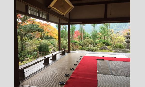 京都大原の四寺巡礼（１１月２７日）