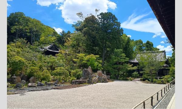 特別名勝の名庭「金地院庭園」と日本庭園が美しい「桜鶴苑」見学とお食事を楽しむ（９月３０日） in京イベント