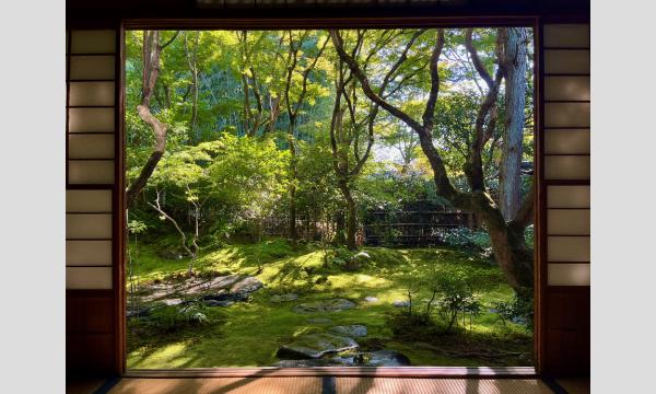 通常非公開の苔の名庭「岡林院庭園」特別拝観と「ザ ソウドウ 東山 京都」庭園鑑賞とランチ（３月１２日）