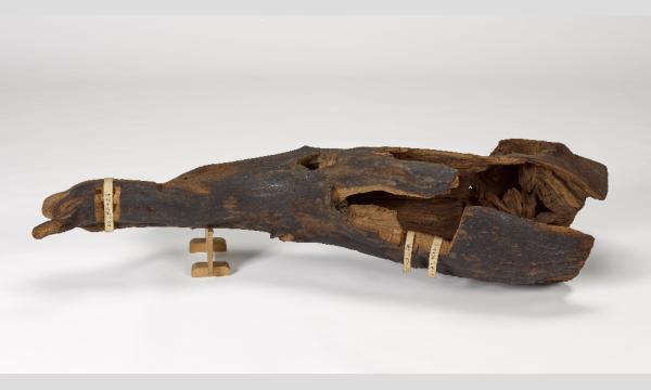 第77回 正倉院展「特別講演会と鑑賞」（１０月２９日） イベント画像2