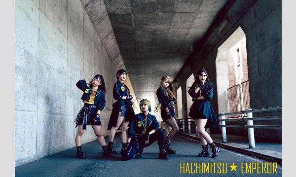 12/1(木)イースターガールズ×蜂蜜★皇帝2マン@仮面女子シアター イベント画像3
