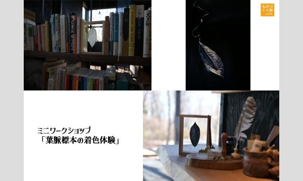 コラボワークショップ「森の案内人とともに都会で体験する八ヶ岳の森の蓄光リーフタグづくり」（主催ものづくり館 by YKK イベント画像3