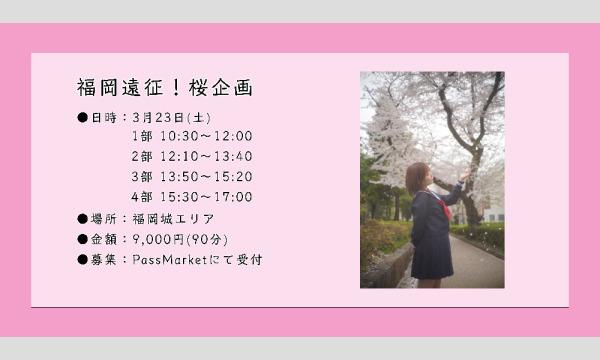 桜花 きちの2024年3月23日　福岡遠征！桜企画イベント