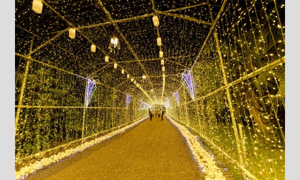 1/1(木)～1/31(土) はままつフルーツパークときのすみか イルミネーションチケット イベント画像1