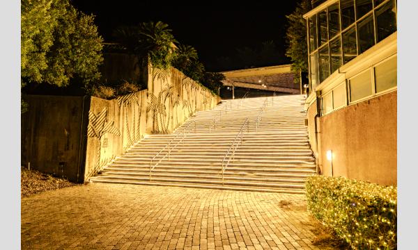 1/1(木)～1/31(土) はままつフルーツパークときのすみか イルミネーションチケット イベント画像2