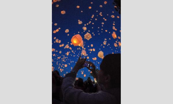 11/2 ハロウィンランタンイベント@フルーツパーク イベント画像2