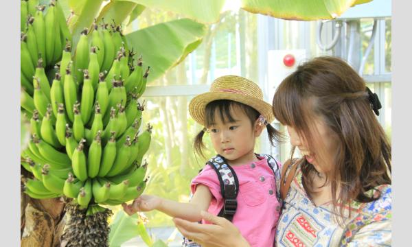 9/16(火)~9/30(火) はままつフルーツパークときのすみか 入園チケット イベント画像3