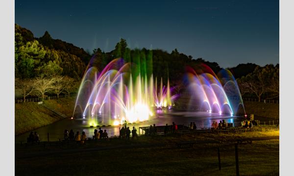 11/1(土)~11/30(日) はままつフルーツパークときのすみか イルミネーションチケット イベント画像3