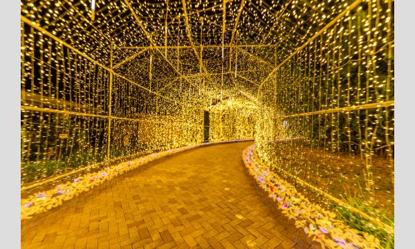 1/1(月)～1/31(土) はままつフルーツパークときのすみか イルミネーション前売りチケット イベント画像1