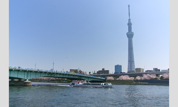 【４／１(水)・浅草寺二天門前発】☆桜クルーズ特割便☆ イベント画像2