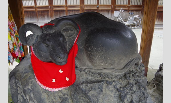 １月２日（火）初詣クルーズ！牛嶋神社で昇殿参拝・開運祈願 イベント画像3