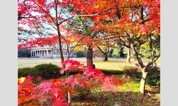 【11/26(水)】水上バスと貸切バスで行く重要文化財「旧岩崎邸庭園」岩崎家邸宅物語 （昼食付） イベント画像2