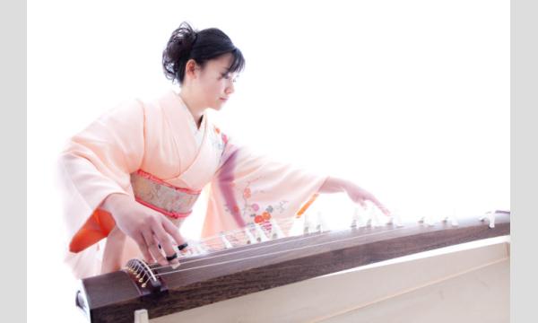 【11/22(土)】プレミアムナイトクルーズ・神谷舞が心を込めてお贈りする筝曲の調べ イベント画像3