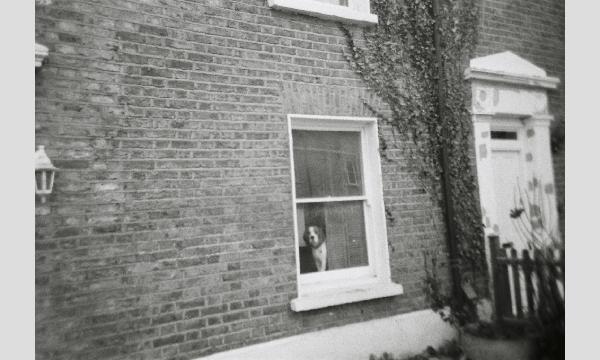 FILM Fan Club 「モノクロ東京」フォトウォークと組写真展示 イベント画像3