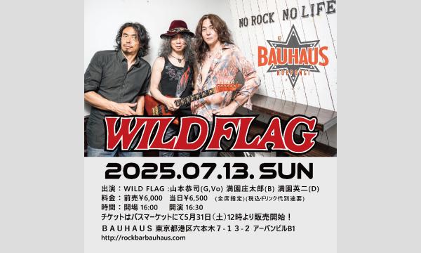 『WILD FLAG@六本木BAUHAUS!!!』 イベント画像1