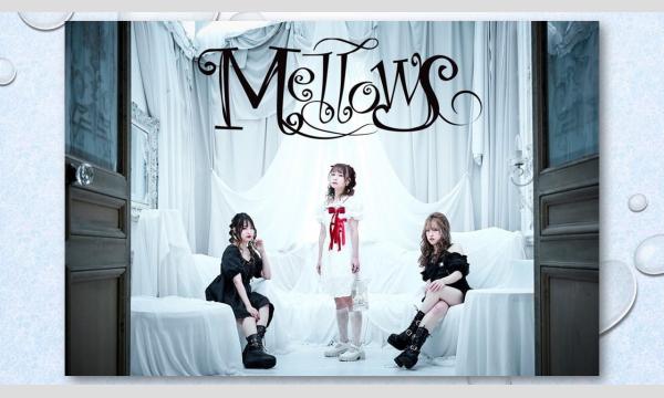 BAUHAUS Monday Series Buzz Factory イベント画像1