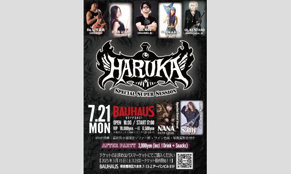 HARUKA SUPER SESSION at BAUHAUS イベント画像1