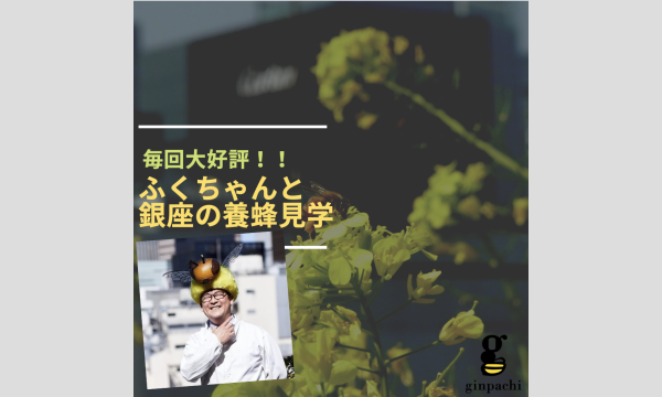 2025年7月11日(金)ふくちゃんと銀座の養蜂見学 イベント画像1
