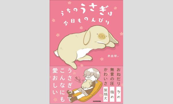【抽選】赤血球さん『うちのうさぎは今日ものんびり』刊行記念ＷＥＢサイン会 イベント画像1