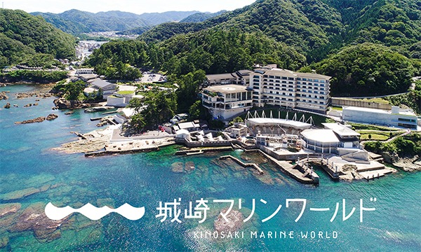9月11日 金 体験予約 城崎マリンワールド In兵庫 パスマーケット